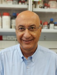Shlomo  Magdassi