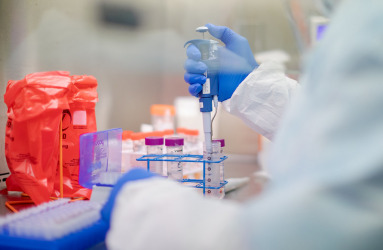 Israeli drug candidate achieves 93% COVID count reduction in hamsters’ lungs