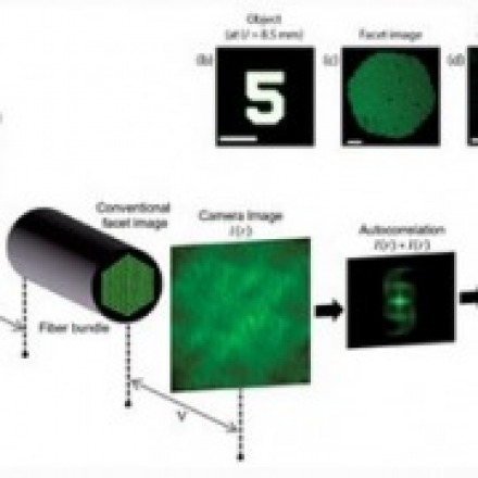 A new way of endoscopic imaging through fiber optics - Dr. Uri Katz