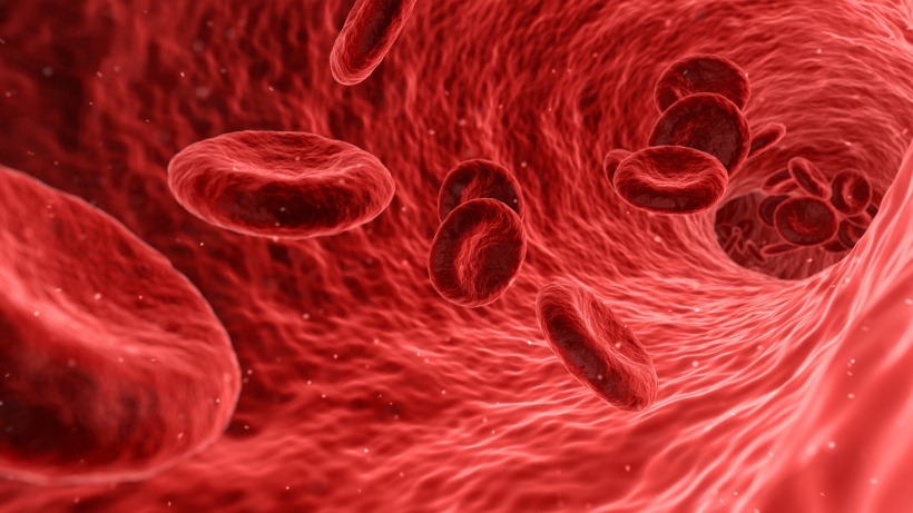 Researchers - Life Sciences