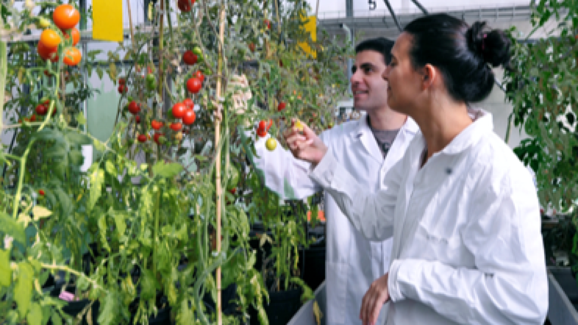 The Alexander Silberman Institute of Life Sciences