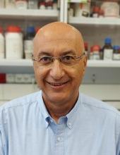 Shlomo  Magdassi